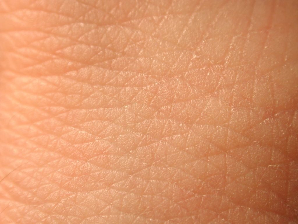skin close-up