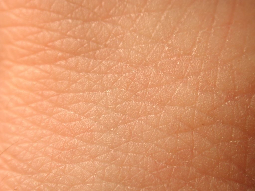 skin close-up