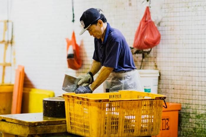 Click to enlarge Man chops fish