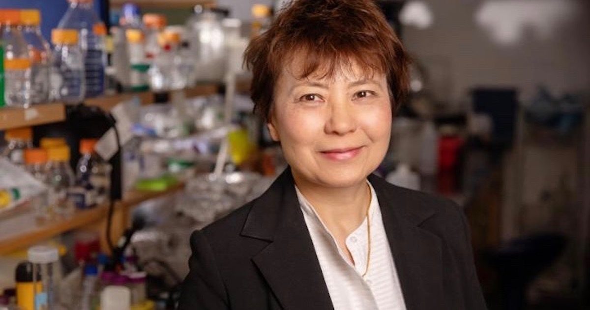 Christina Cheng, University of Illinois