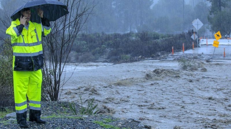 california rain california rain