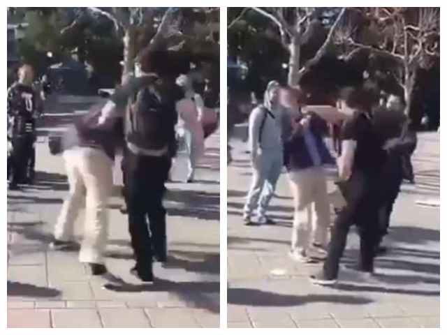 Conservative attacked Berkeley