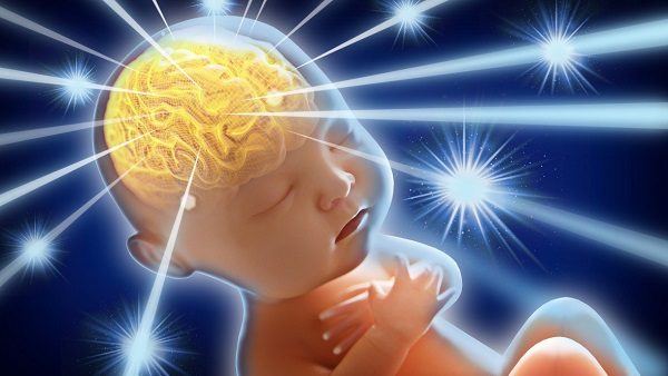 Click to enlarge Fetus