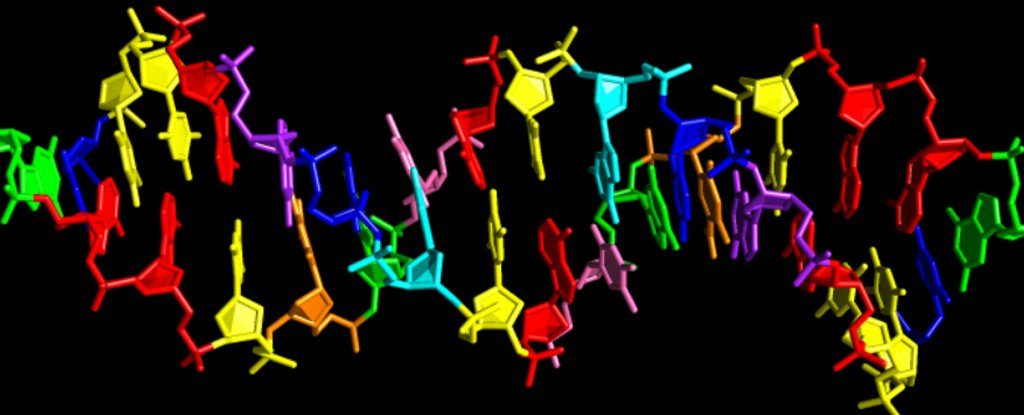 synthetic dna