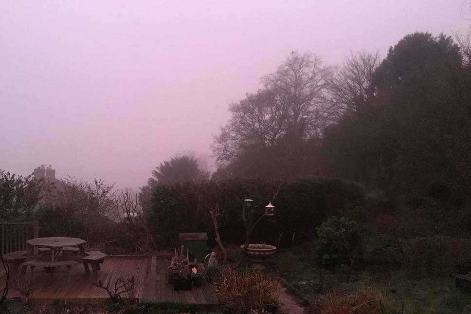 Click to enlarge pink fog