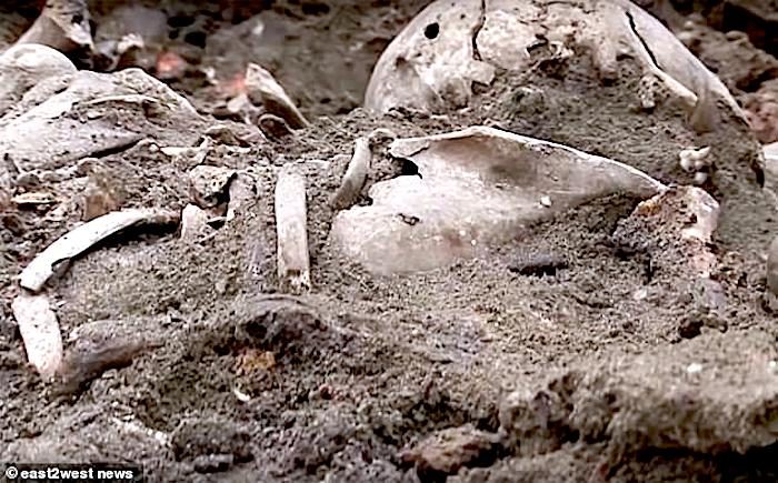 Click to enlarge bones/dirt