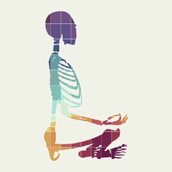 Click to enlarge Bones