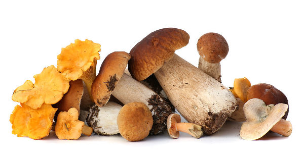 mushrooms