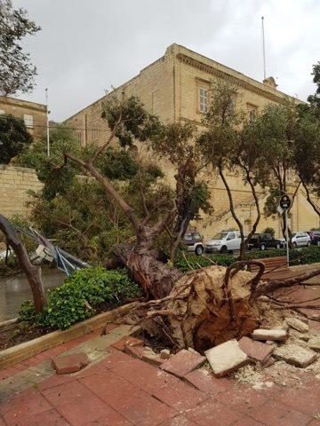 Click to enlarge malta wind