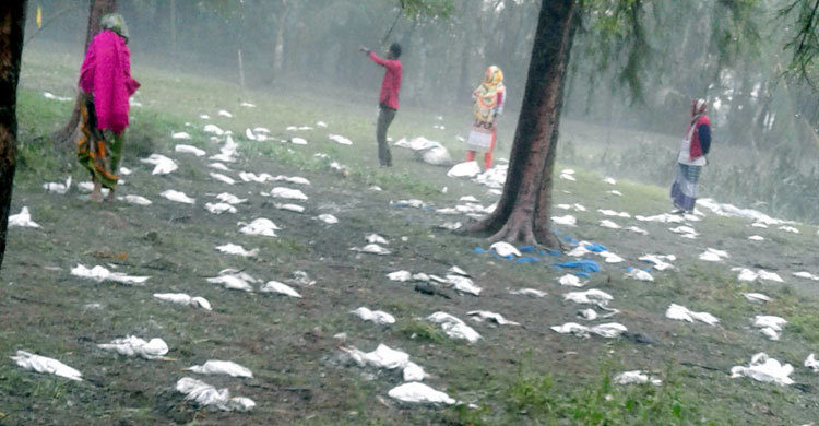 Click to enlarge Birds have died in the forest of Narail