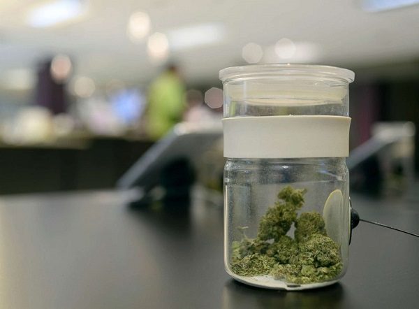 Marijuana
