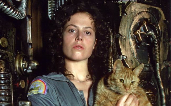 Click to enlarge Ripley