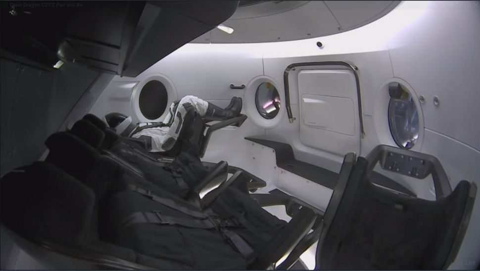 Ripley the 'Dummy'