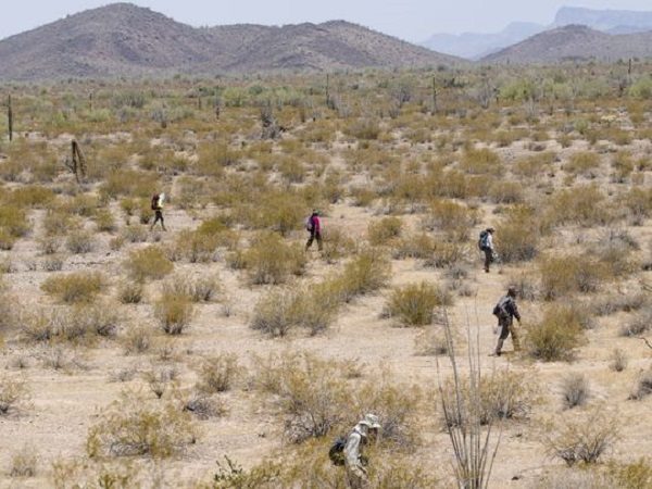 Click to enlarge Migrants in AZ