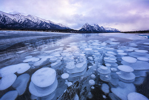 Frozen methane bubbles in Abraham Lake, Alberta, Canada