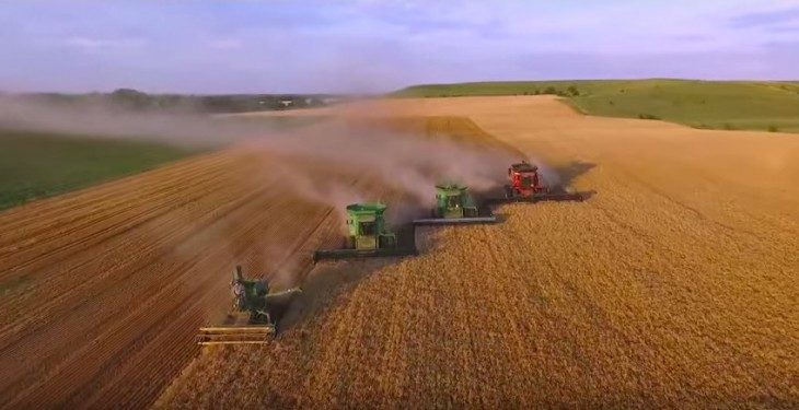 Click to enlarge wheat harvest