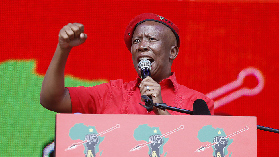 Click to enlarge Julius Malema