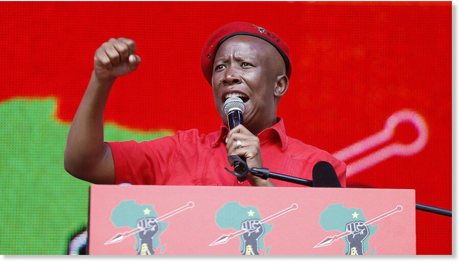 Julius Malema south africa