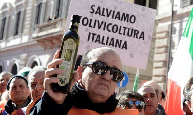 Click to enlarge Farmers and olive growers wear orange gilets