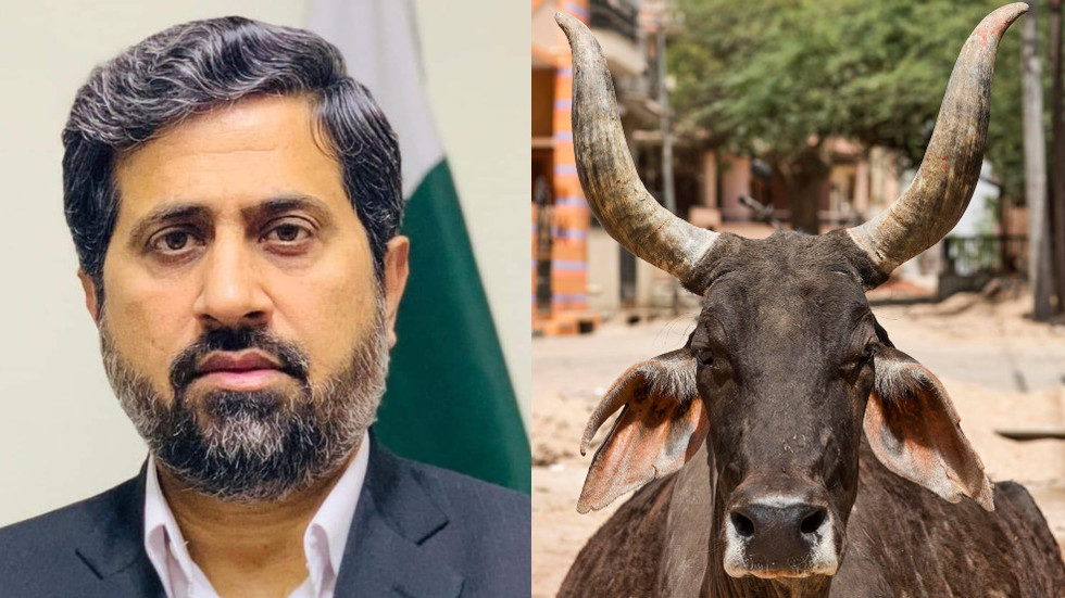 Fayyaz ul Hassan Chohan