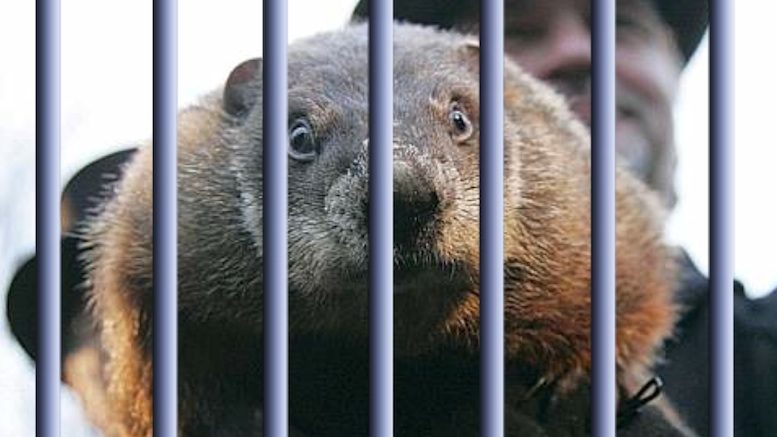 Punxsutawney Phil