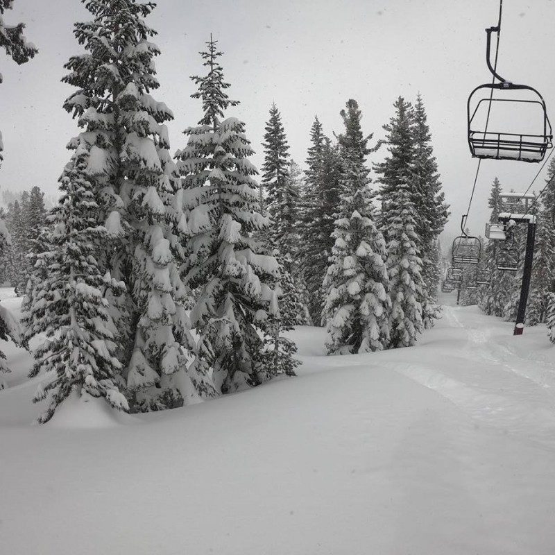 snow
