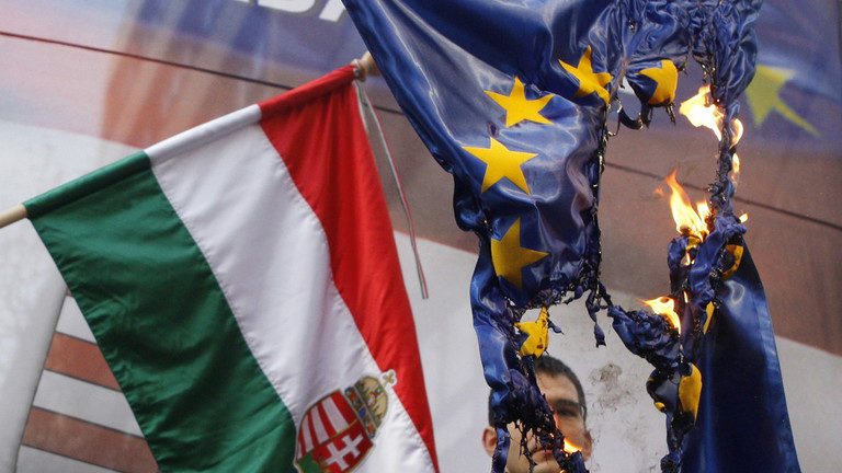 Click to enlarge eu flag burning