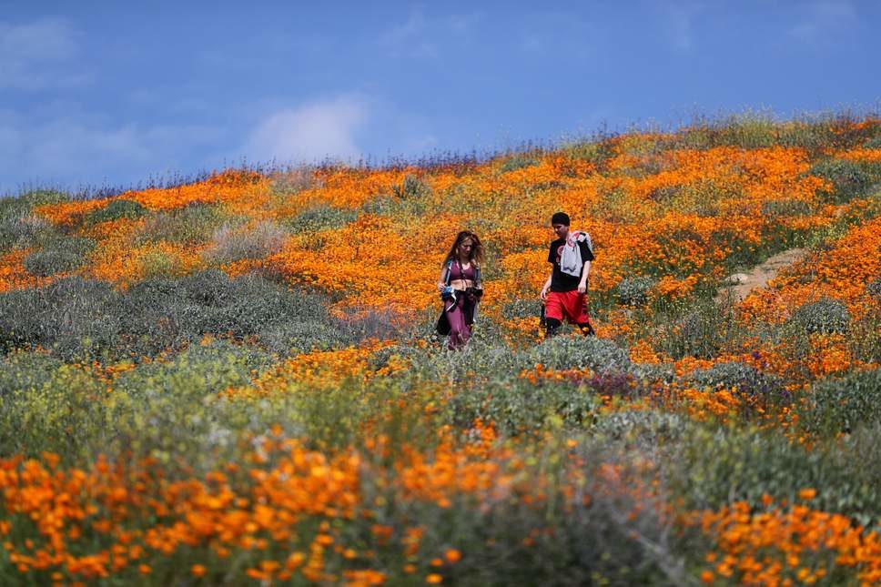 Click to enlarge Southern California's Anza-Borrego desert
