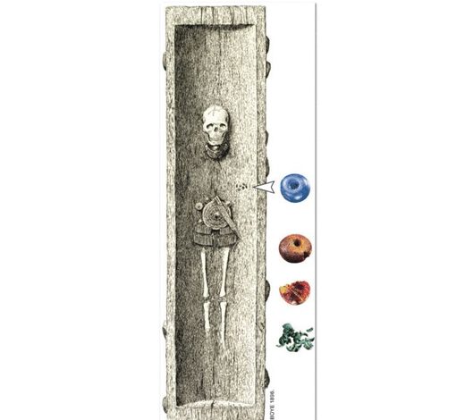 Click to enlarge Bronze Age burial