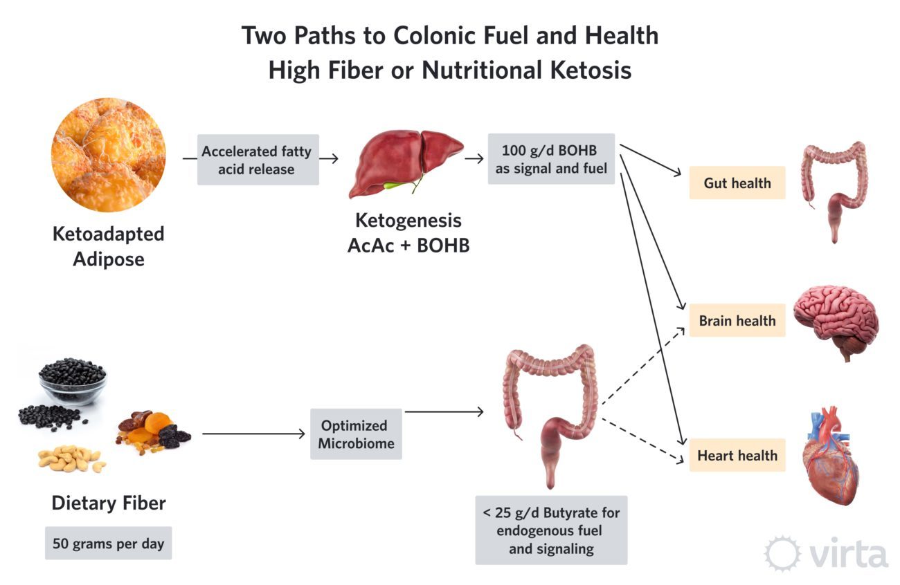 Click to enlarge colonic fuel health