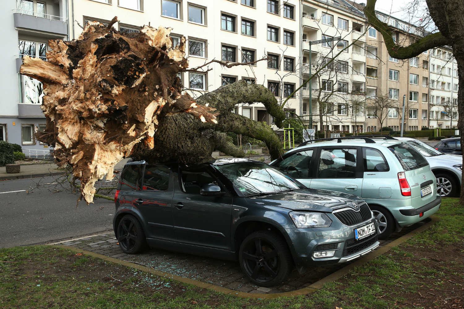 A fallen tree lies on three cars in Düsseldorf's Cecillienallee
