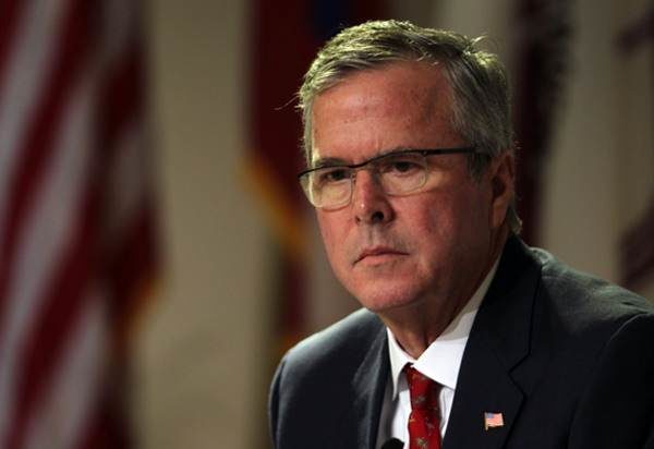 jeb bush