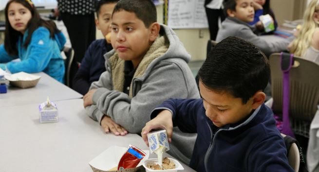 school lunchers