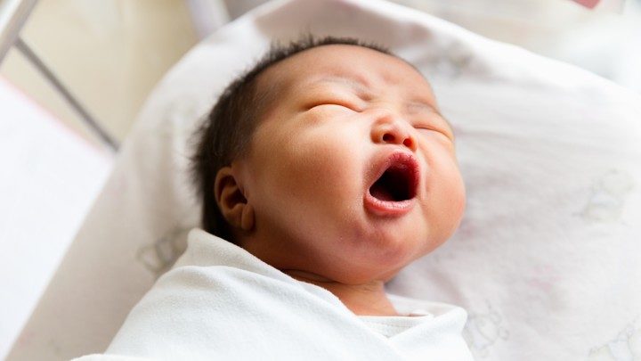 infant baby