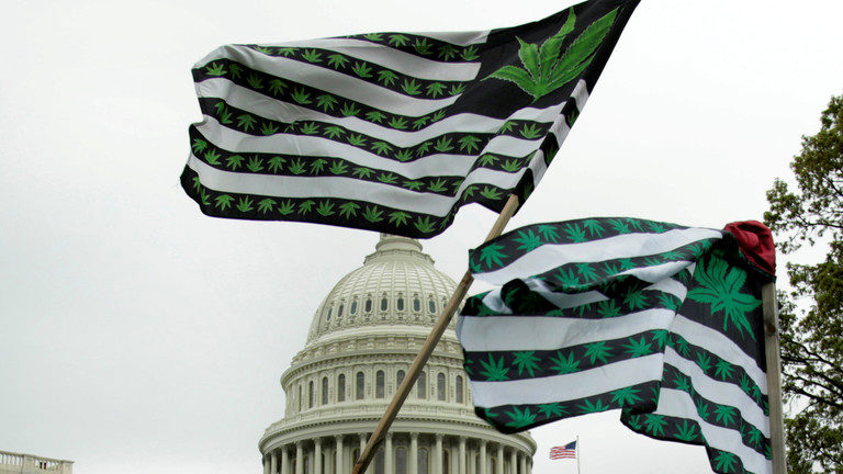 Marijuana cannabis flag