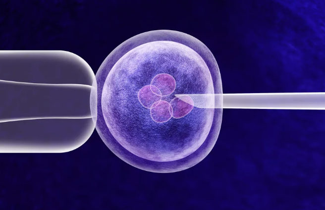 Click to enlarge gene edit