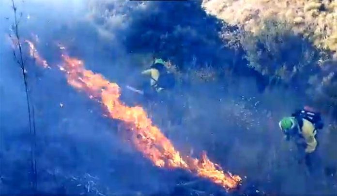 wildfire torrox spain