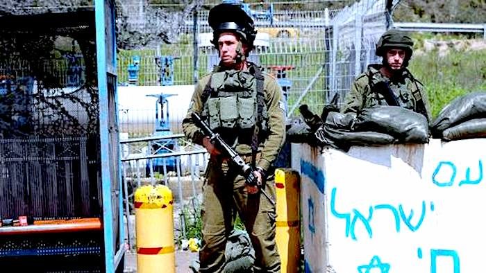 IDF guards