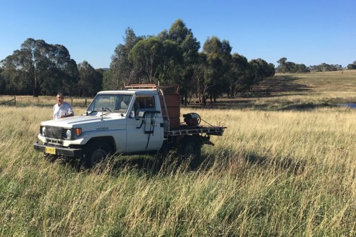 Click to enlarge Linda Cavanagh/Boorowa Landcare