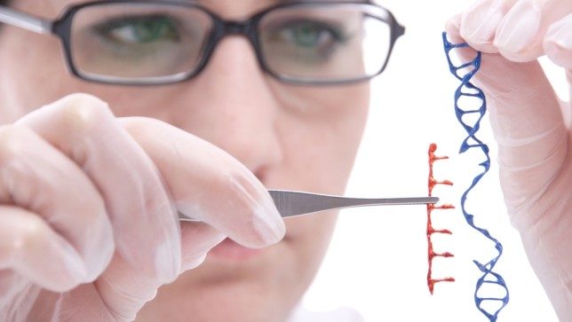 CRISPR