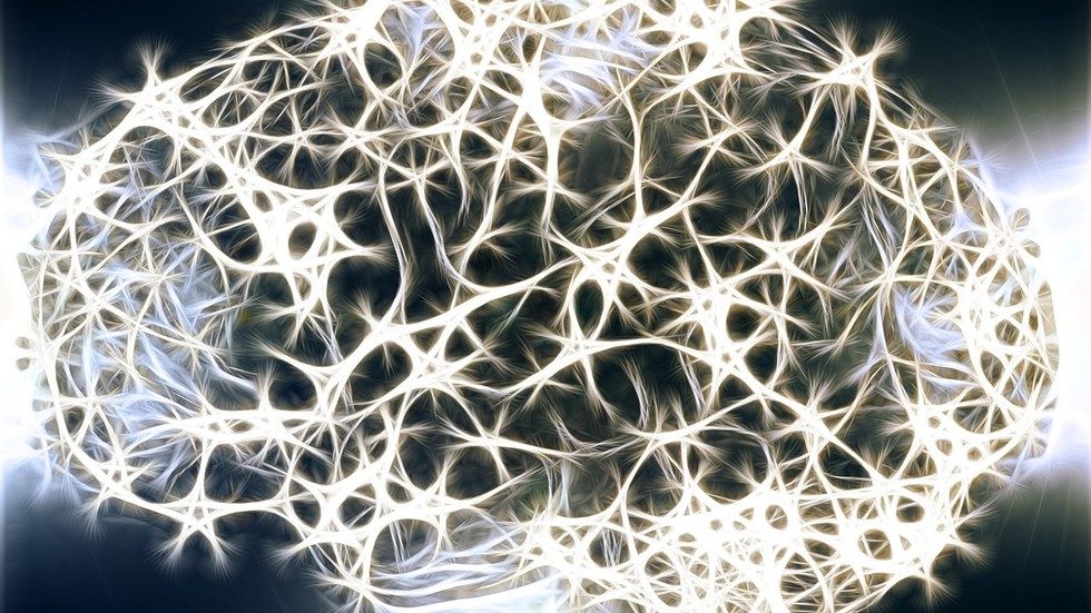 Click to enlarge brain connections