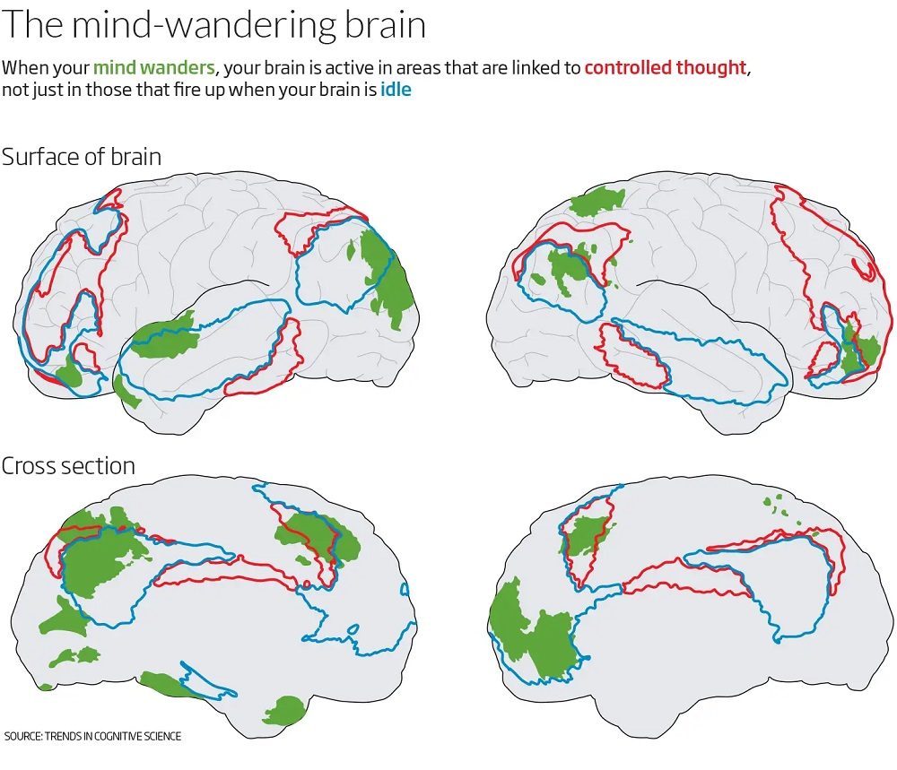 wandering brain