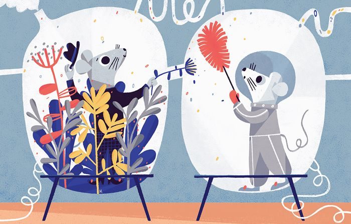 mouse cleaning