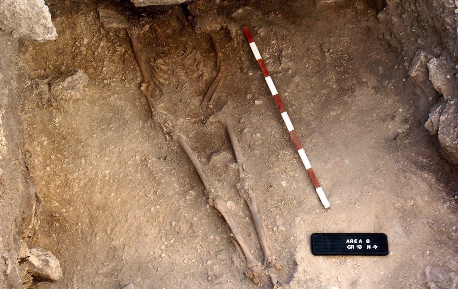 Click to enlarge Ancient Remains