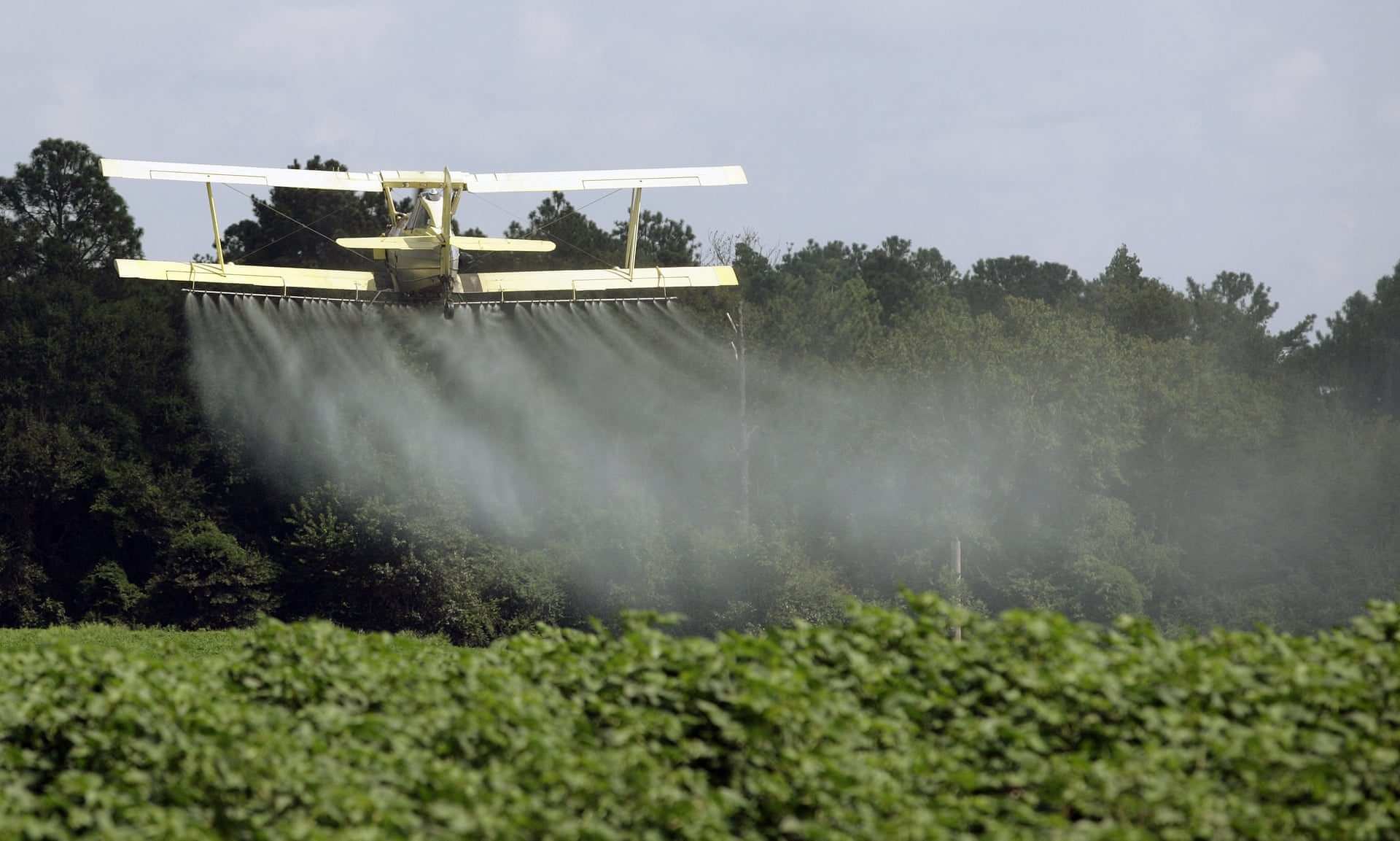Pesticide spraying plane