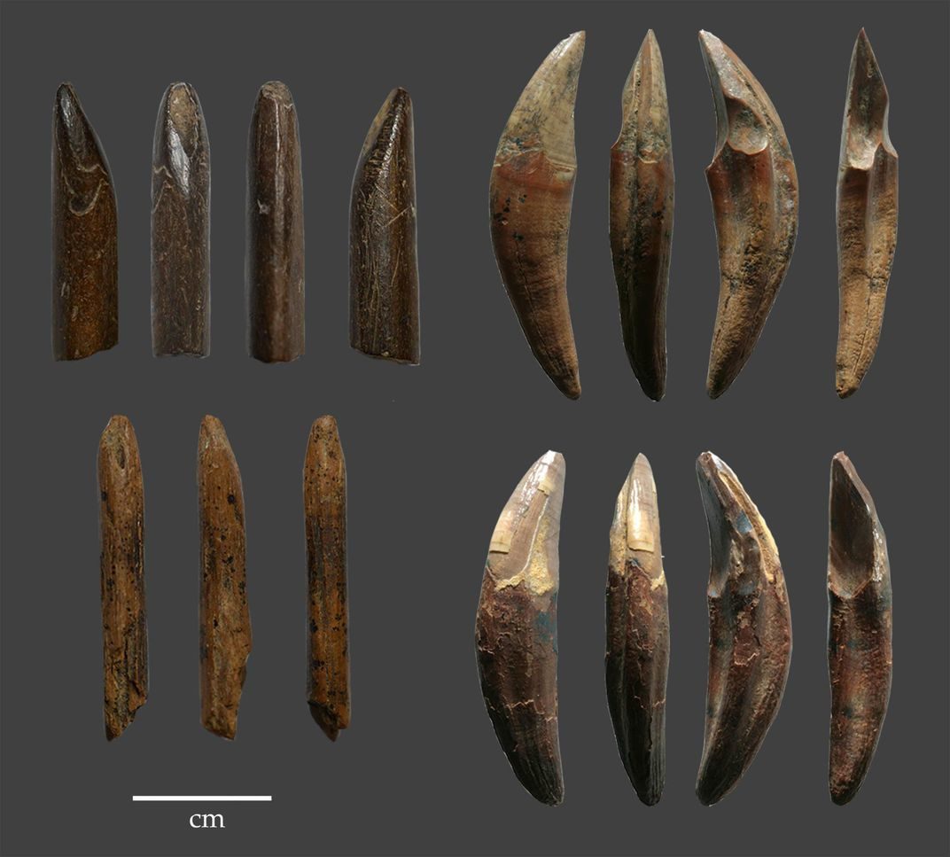 Click to enlarge monkey bone tools