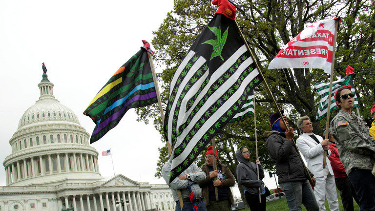 marijuana protest