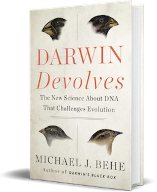 Click to enlarge Darwin Devolves