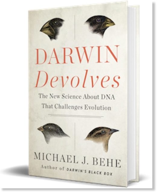 Darwin Devolves