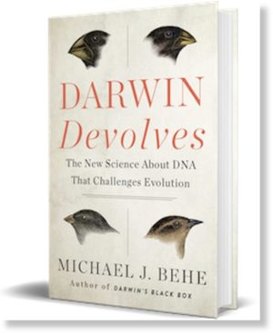 Darwin Devolves
